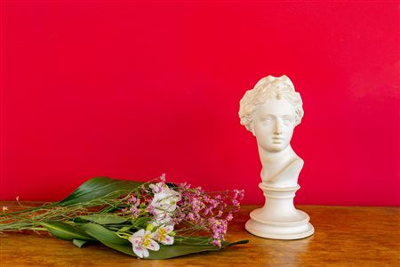 Busto in gesso di Venere