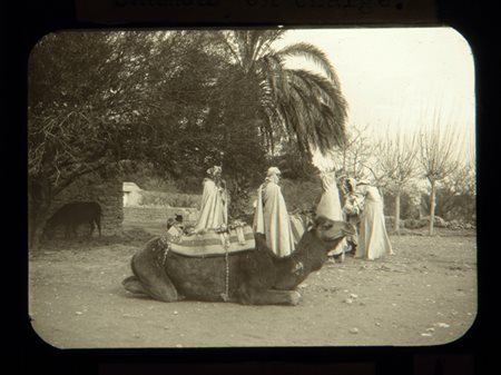 Luigi Saporetti, 'Chamea en charge Biskra', 1905