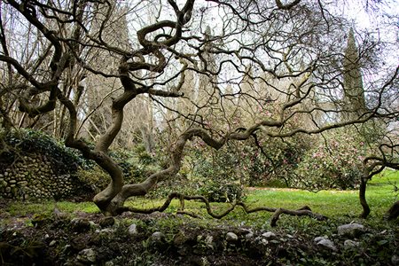 Ciro Cavaliere, 'Intrighi', 2023