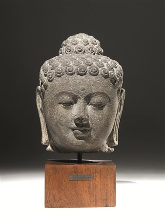 Testa di Buddha, Giava Indonesia, in stile Borobudur, in pietra vulcanica,...