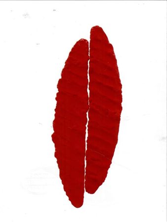 Pino Pinelli, Pittura R, 2011