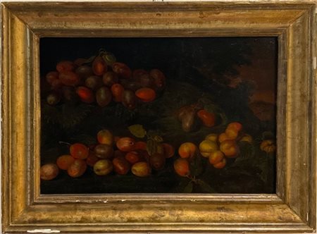 Scuola romana del secolo XVII

"Composizione di frutta all'aperto"
olio su tela
