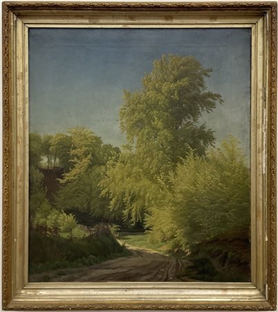 Ignoto austriaco della seconda metà secolo XIX

"Scorcio boschivo" 
olio su tel