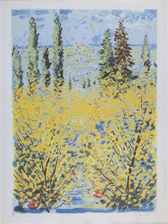 SERIGRAFIA DI MICHELE CASCELLA