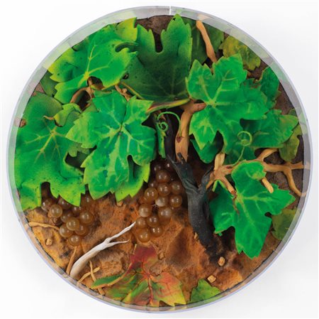 Pietro Gilardi (Turin/Torino 1942 - 2023) Uva Trentina, 1991;Poliuretano...