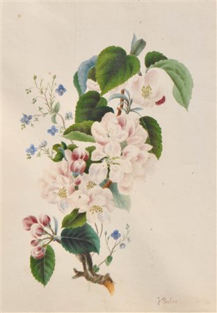 Ignaz Seelos (Bozen/Bolzano 1827 - Wien/Vienna 1902) Ramo di melo in...