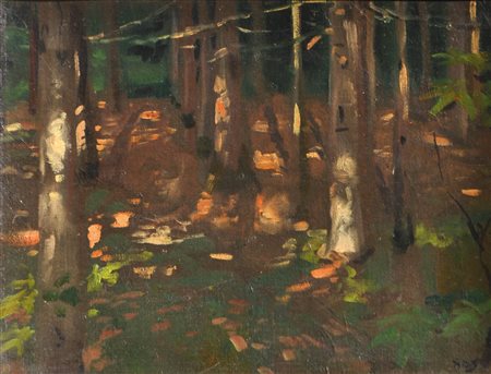 Thomas Riss (Haslach, Stams 1871 - Innsbruck 1959) Impressione di bosco;Olio...