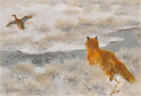 Bruno Liljefors (Uppsala, Schweden/Svezia 1860 - Stockholm 1939) Volpe con...