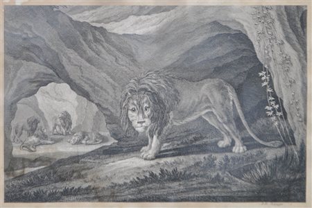 Johann Elias Ridinger (Ulm 1698 - Augsburg/Augusta 1767) Animali;8...