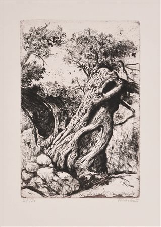 Markus Vallazza Ulivi, 1991;6 acqueforti, ciascuno ca. 24 x 16 cm Firma,...