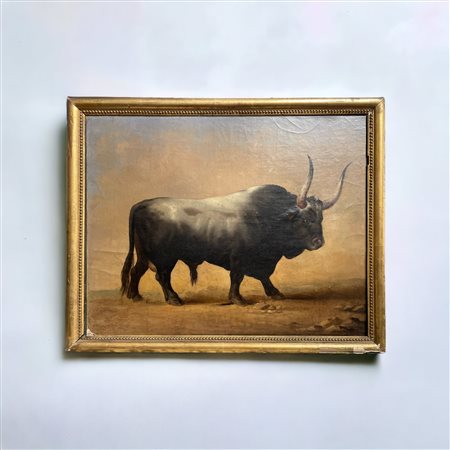  
Bufalo XIX secolo
Olio su tela cm 47 x 60