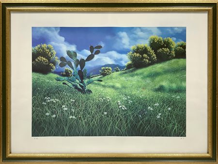 Antonio Navarra (Roma 1965)  - Ginestre e fico d'india