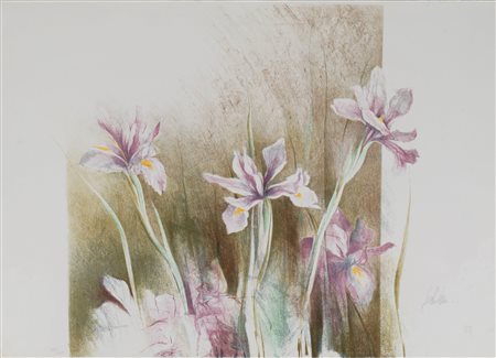 Pedro Cano (Blanca 1944)  - Iris viola