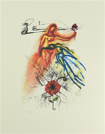 Da Salvador Dali' SENZA TITOLO foto-litografia su carta, cm 60x47; es....