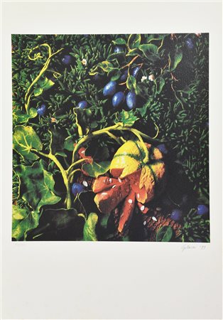 Piero Gilardi (1942 - 2023) ZUCCA E PRUGNE, 1997 litografia su carta...