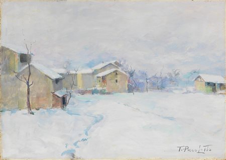 Toni Piccolotto, Neve