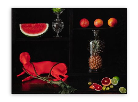 CJ TAYLOR (1951) - Still life with watermelon, blood oranges and Thylacine pup, 2011