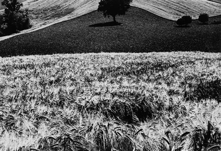 Renzo Tortelli (1926-2019)  - Senza titolo (Paesaggio), 1960s/1970s