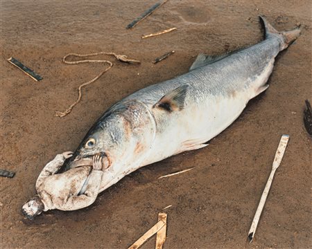 Paolo Ventura (1968)  - Automation #13, 2013