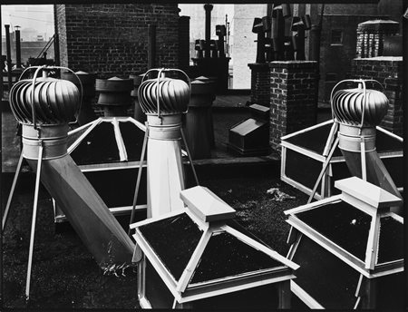 Brett Weston (1911-1993)  - Senza titolo, 1950s