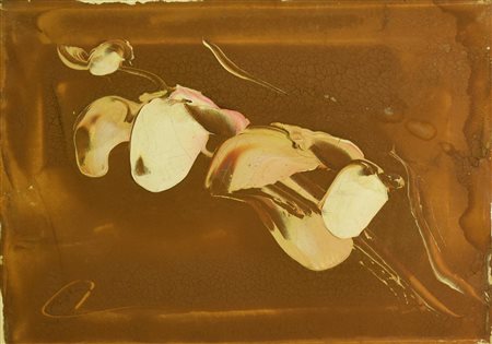 Jose' Ortega SENZA TITOLO olio su tela, cm 30x40 Danni