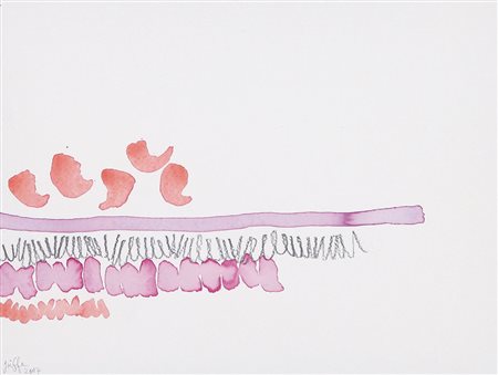 GIORGIO GRIFFA Torino 29/03/1936 Senza titolo, 2007 acquerello e matita su...