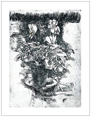 ENZO FARAONI Santo Stefano Magra 1920 - Ciclamini e vaso Acquaforte...