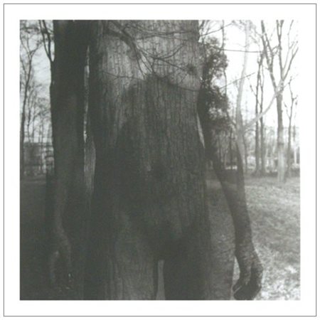 ROBERTO PISANELLI Firenze 1971 Senza titolo Fotografia. (60 x 50 ca. foglio –...