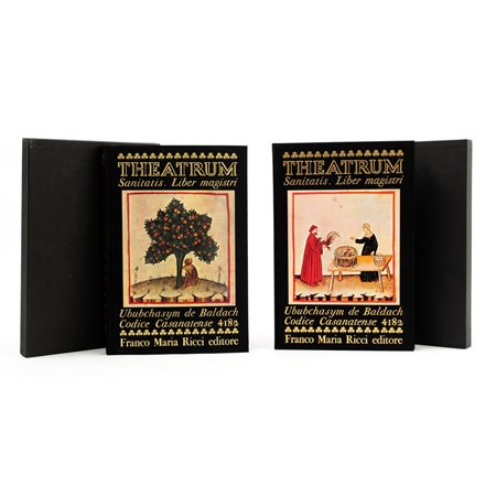 DUE VOLUMI delle edizioni FMR