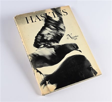 HASKINS, SAM - NOVEMBER GIRL