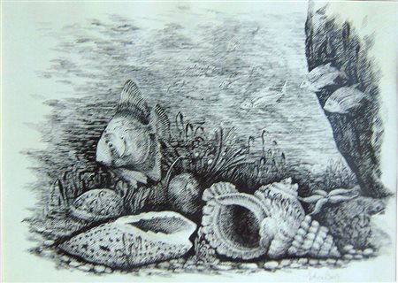 ETTORE BELLI Natura morta China su cartone cm. 40x56 firmata Foto della...