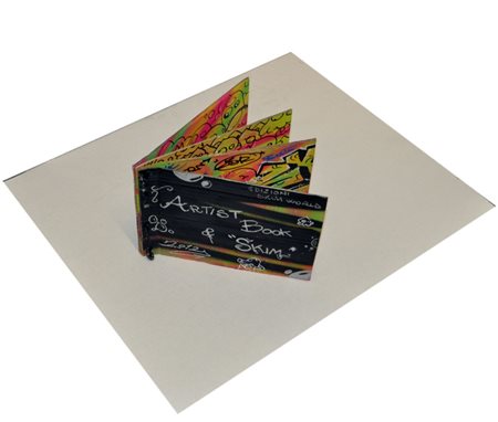 SKIM Libro d’artista, 2012 Libro in cartone dipinto a tecnica mista cm....