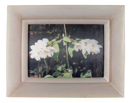 Chiara Dynys, Poisoned Flowers, 2014