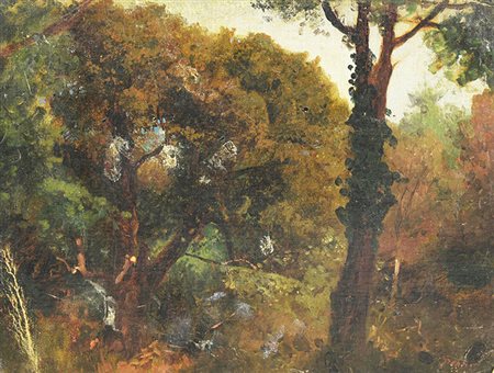 Pietro Senno BOSCO olio su cartone, cm 25x32 firma