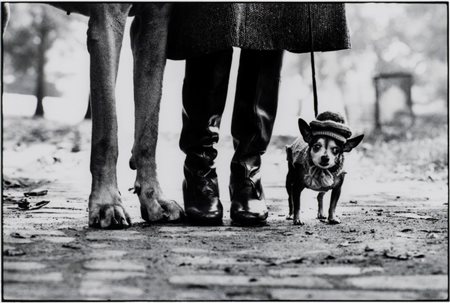 Elliott Erwitt 1928 New York, New York, USA, 1974 stampa successiva stampa...