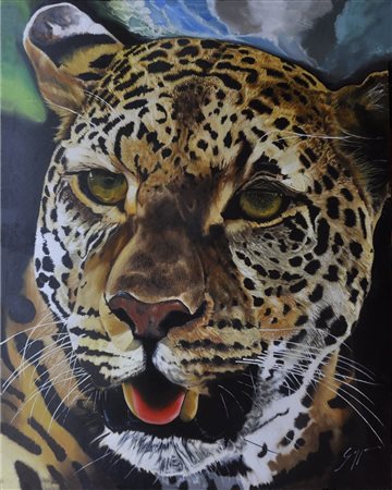 Fabrizio Dini, Leopardo
