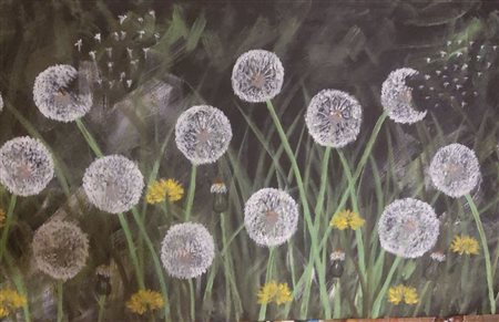 Francesca Dringoli, Esprimi un desiderio ora