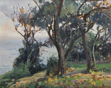 ANGIOLA MEUCCI<BR>Revere (MN) 1892 - 1966 Torino<BR>"Mare tra gli alberi"