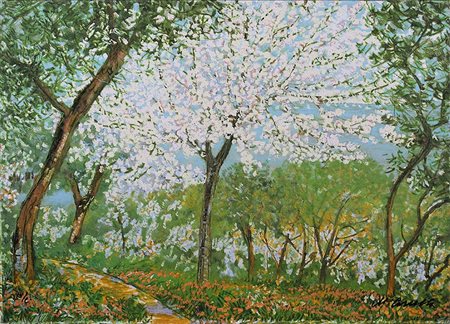 MICHELE CASCELLA, Collina ortonense, 1984