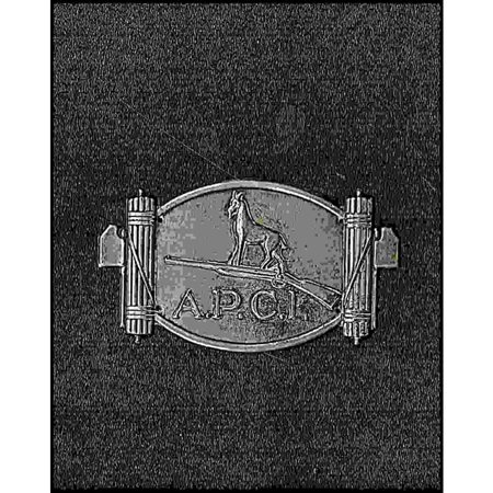  
Placchetta APCI Miscellanea...
 