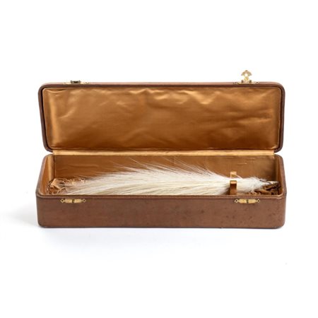  
Asprit in scatola primo quarto XX sec.
 