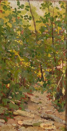 Flavio Bertelli (San Lazzaro di Savena 1865 – Rimini 1941), “Paesaggio boschivo”.