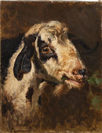 Filippo Palizzi (Vasto 1818 - Napoli 1899), “Testa di capra”.