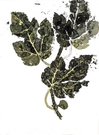 Mattioli Carlo Modena 1911 - Parma 1994 Il ramo di fico - 1971 Acquerello su...