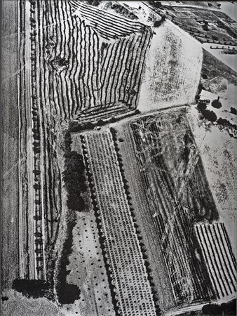 Giacomelli Mario Senigallia 1925 - 2000 Senza titolo Stampa alla gelatina ai...