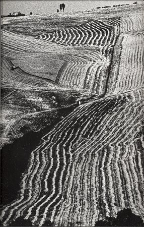 Giacomelli Mario Senigallia 1925 - 2000 Senza titolo Stampa alla gelatina ai...