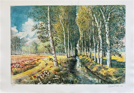 Marco Zambrelli “Ritmi e luce”