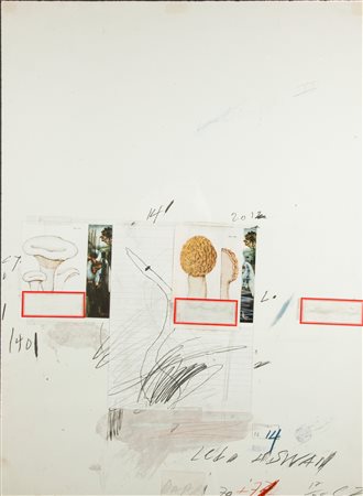 Cy Twombly Lexington 1928-Roma 2011 Natural History, Part I, Mushrooms 1974...