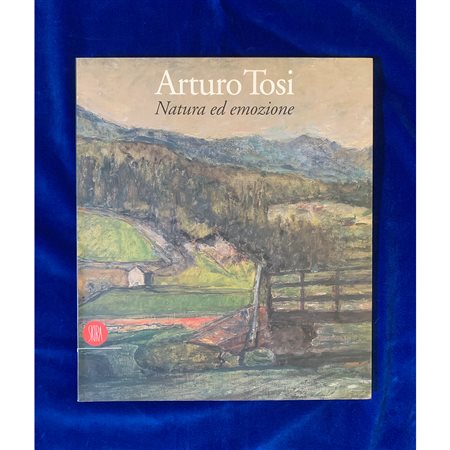 Arturo Tosi, Natura ed emozione, 1999