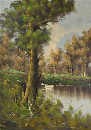 Ignoto VEGETAZIONE olio su tela, cm 70x50 firma